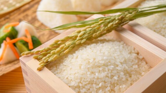 Arroz Koshihikari (Sushi) 500gr.
