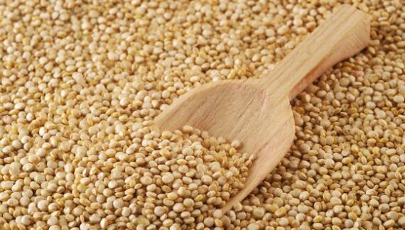 Quinoa Real 250Gr.