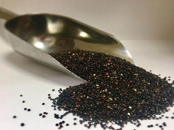 Quinoa negra x 250g
