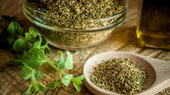 Oregano 50gr