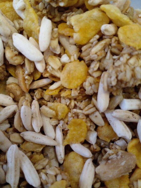 Granola Vegana Pop x 500Gr