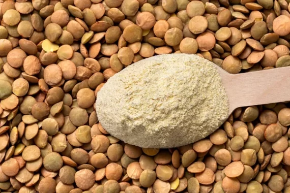Harina de Lenteja x 500gr