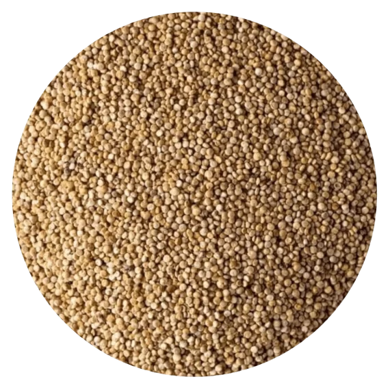 Semillas de Quinoa Nacional x 250 gr